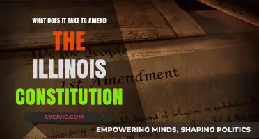 Amending Illinois' Constitution: A Difficult But Not Impossible Task