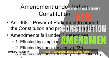 The Challenge: Creating a Constitutional Amendment