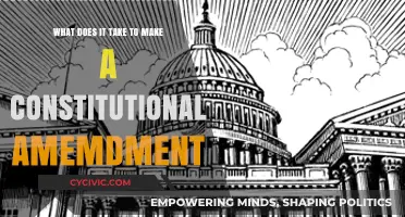 The Challenge of Changing a Constitution