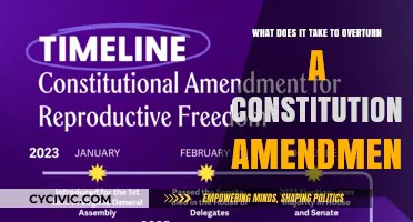 The Challenge of Overturning Constitutional Amendments