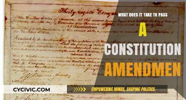 The Challenge of Amending the Constitution
