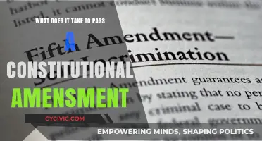 The Challenge of Amending the Constitution