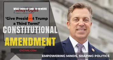 How Amendments Are Repealed: A Constitutional Guide