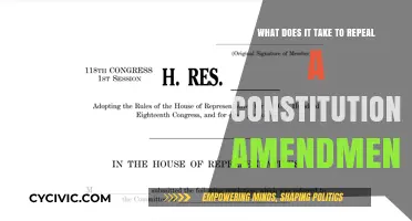 The Challenge of Reversing Constitutional Amendments