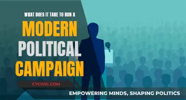 Campaign Strategies: Modern Politics and Running a Successful Race