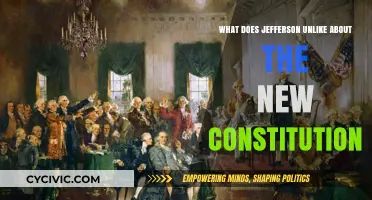 Jefferson's Criticism of the Constitution: Key Issues
