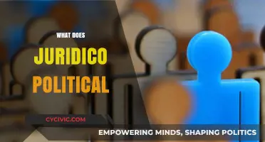 Exploring the Intersection of Law and Politics: A Comprehensive Guide
