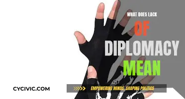 Diplomacy's Absence: A Prelude to Chaos and Confusion