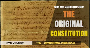 Mason's Dislike: The Original Constitution's Flaws