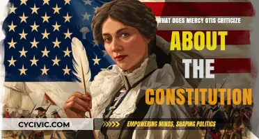 Mercy Otis's Critique: Constitution's Flaws and Injustices
