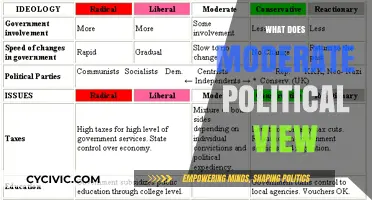 Exploring the Nuances of Moderate Political Views