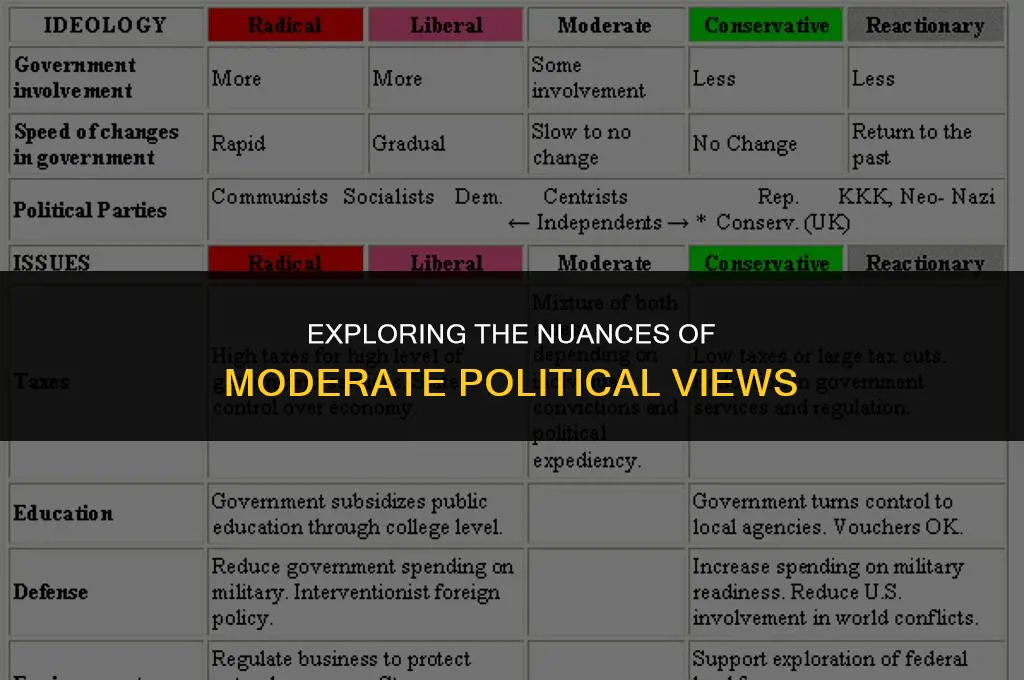 what does moderate political view