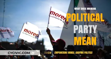 Understanding Morena: Mexico's Political Party and Its Core Principles Explained