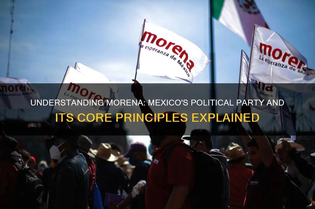 what does morena political party mean