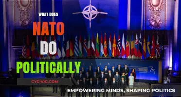 Exploring NATO's Political Role: A Comprehensive Overview