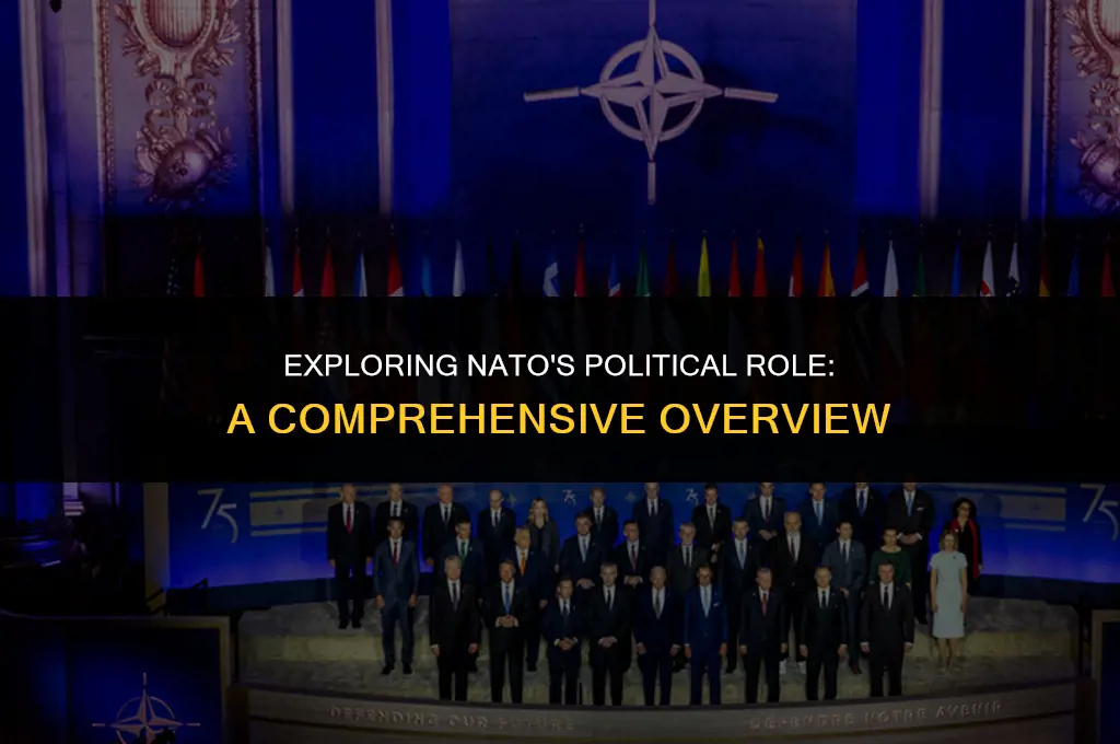 what does nato do politically
