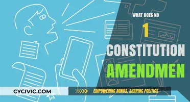 The First Amendment: Freedom and Rights