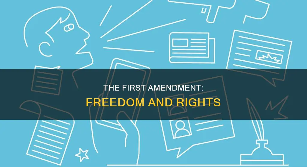 what does no 1 constitutional amendment