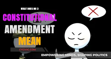 Constitutional Amendment No. 3: Understanding the Right to Vote