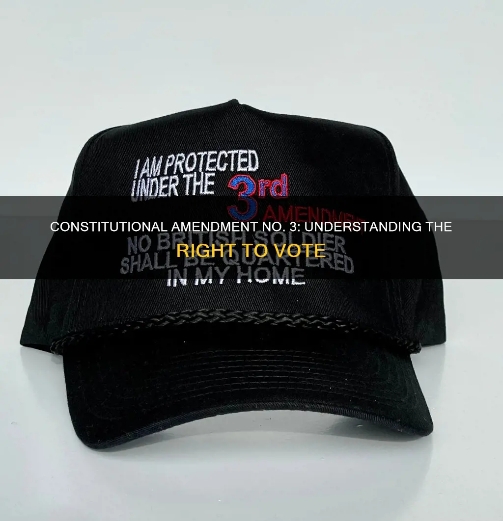 what does no 3 constitutional amendment mean