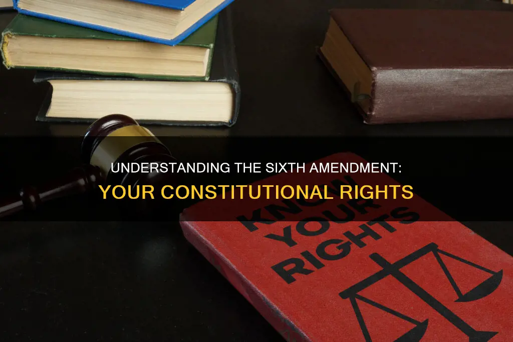 what does no 6 constitutional amendment mean