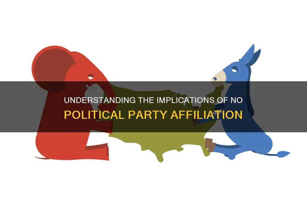 what does no political party affiliation mean