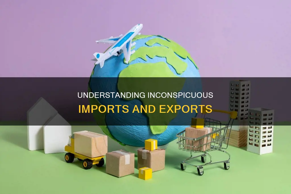 what does not constitute visible imports and exports