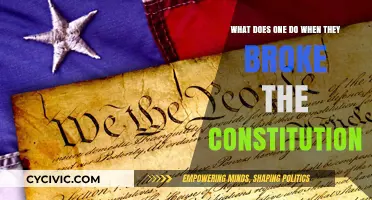 Consequences of Breaking the Constitution: What to Expect?