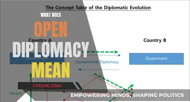 Open Diplomacy: What Does It Mean?