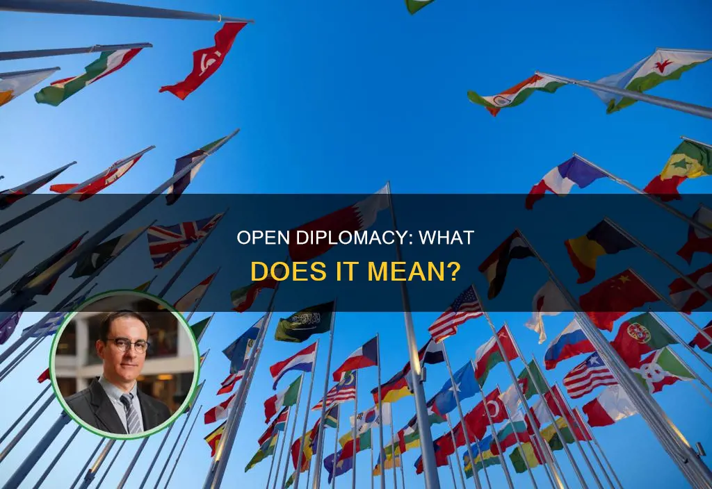 what does open diplomacy mean