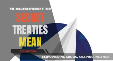Open Diplomacy: No More Secret Treaties