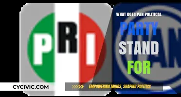 Understanding Pan-Political Parties: Core Principles and Global Significance Explained