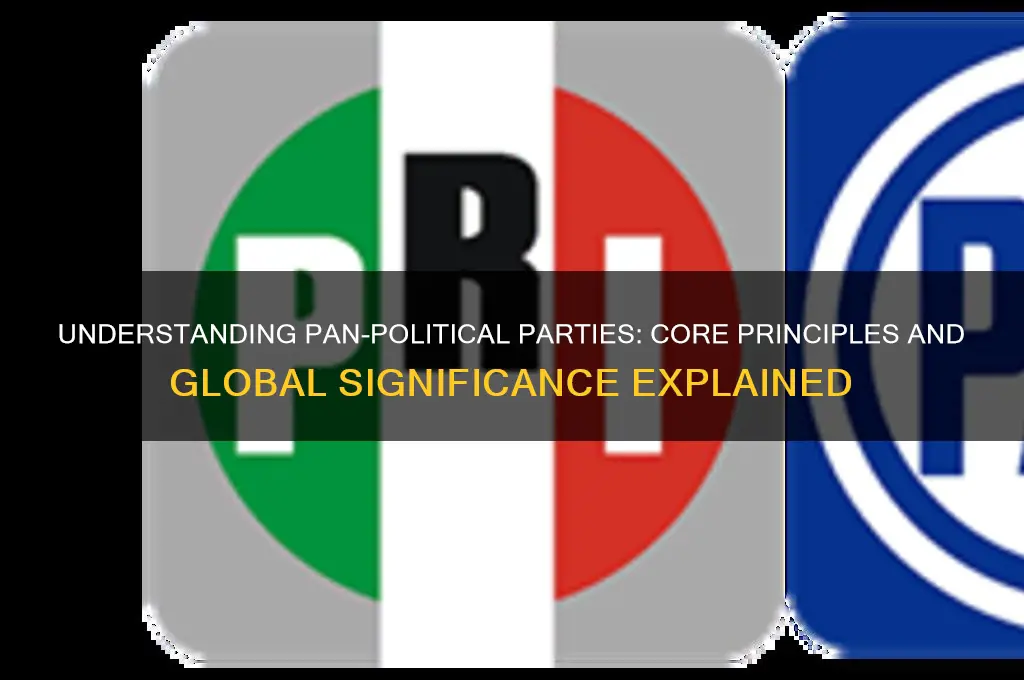 what does pan political party stand for