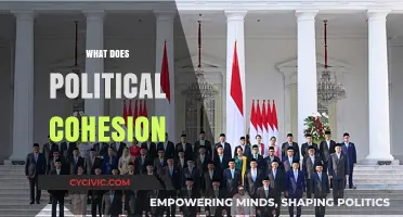 Understanding Political Cohesion: Uniting Societies for Stability and Progress