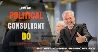 Understanding the Role of a Political Consultant: Strategies, Campaigns, and Influence