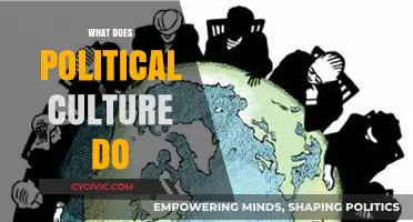 Understanding Political Culture: Shaping Societies, Beliefs, and Governance Dynamics