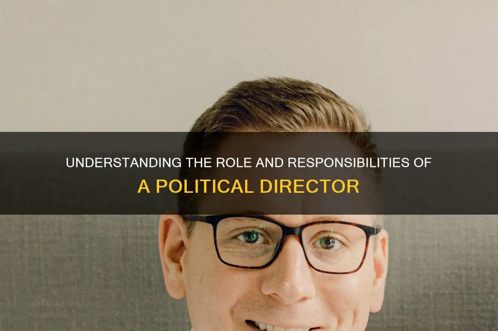 what does political director do