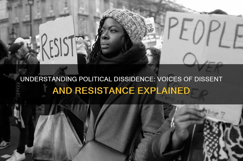 what does political dissident