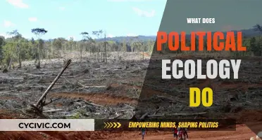 Exploring Political Ecology: Uniting Environment, Power, and Social Justice
