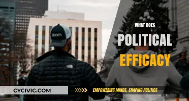 Understanding Political Efficacy: Empowering Citizens in Democratic Engagement
