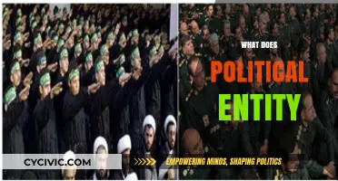 Understanding Political Entities: Definitions, Roles, and Global Impact Explained
