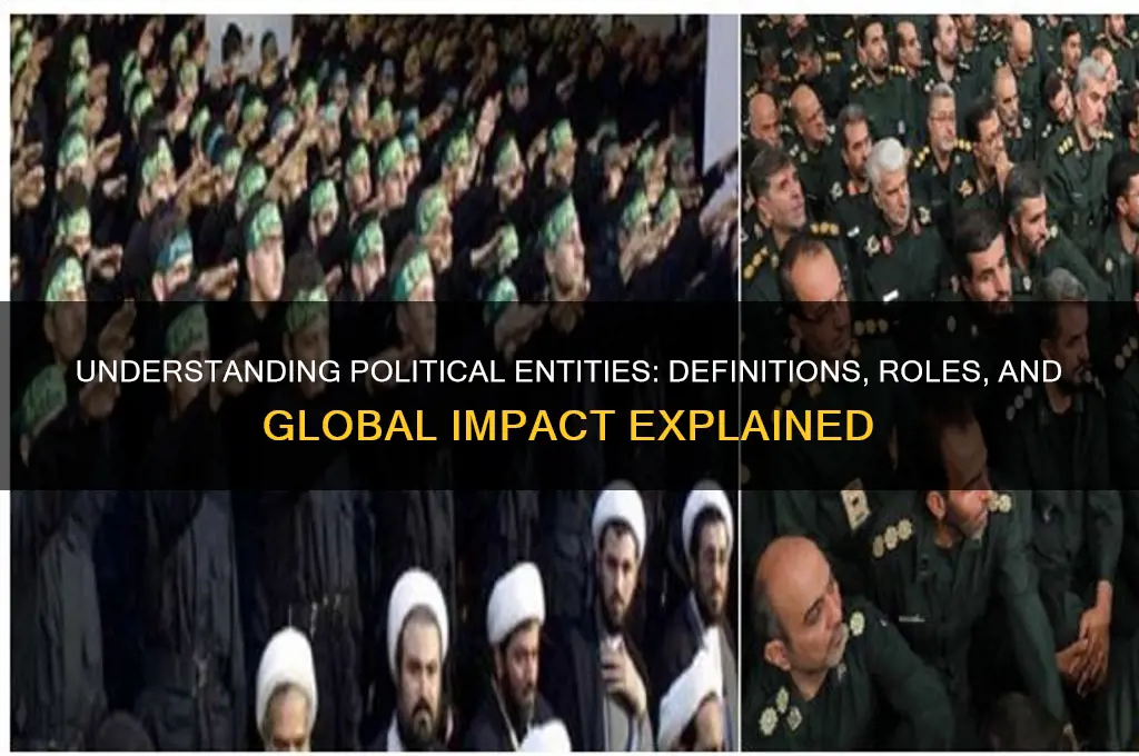 what does political entity