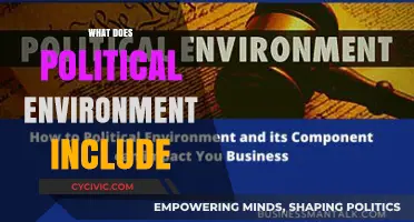 Understanding the Political Environment: Key Components and Their Impact