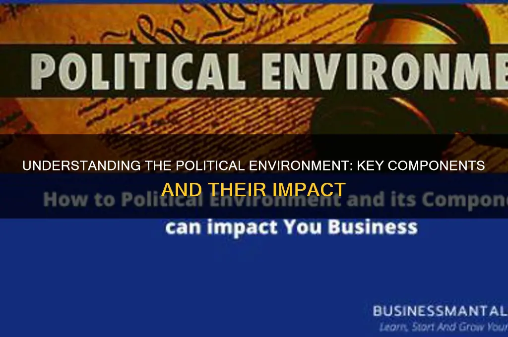 what does political environment include