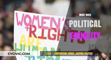 Understanding Political Equality: Rights, Representation, and Fair Participation Explained