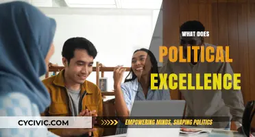 Understanding Political Excellence: Leadership, Integrity, and Public Service Mastery