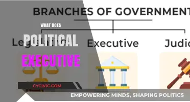 Understanding the Role and Power of the Political Executive in Governance