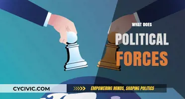 Understanding Political Forces: Shaping Societies, Economies, and Global Dynamics