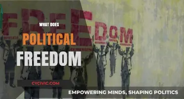 Understanding Political Freedom: Rights, Liberties, and Democratic Empowerment Explained