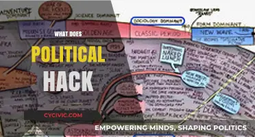 Understanding the Term: What Does Political Hack Really Mean?